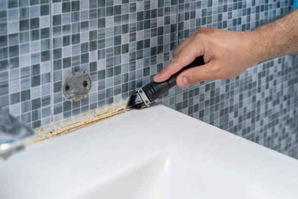 Best Mold Remediation for Specific Building Types in Franklin Park, IL