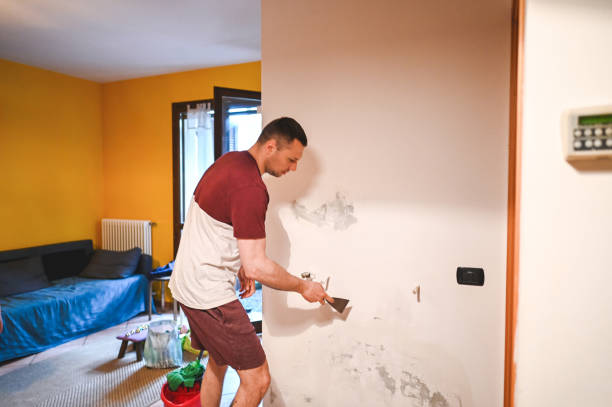 Best Preventive Mold Services in Franklin Park, IL